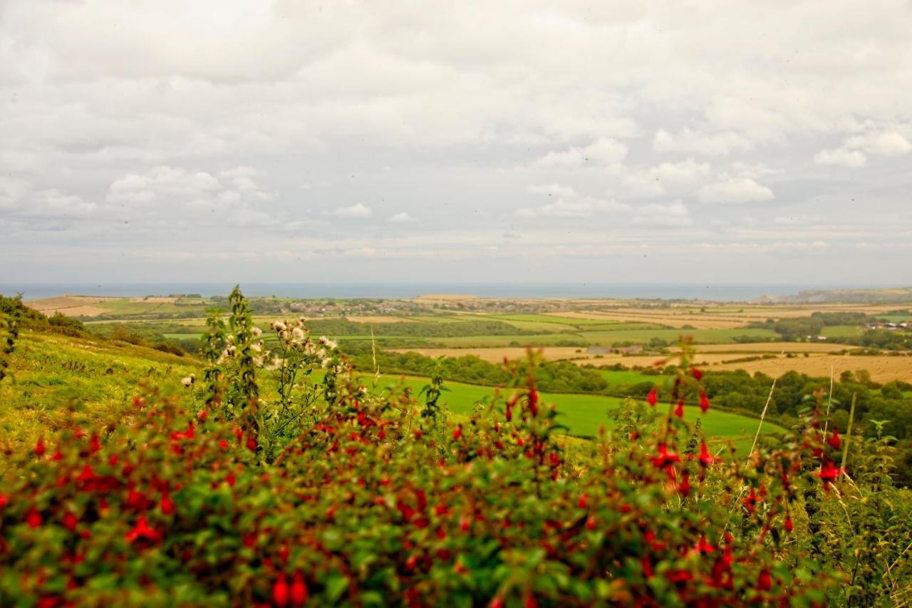 Sebright Cottage, Borrowby Farm Cottages Стейтс Екстериор снимка